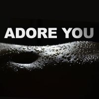 Adore You - Instrumental cover